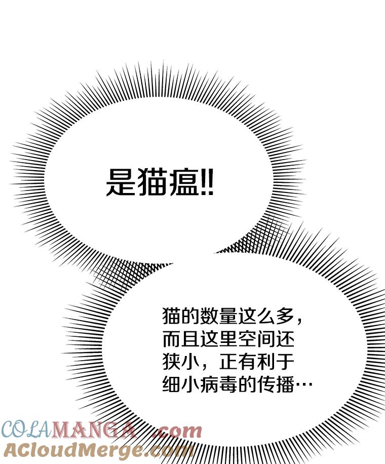 《彩虹桥守望者》18.猫瘟 第17页