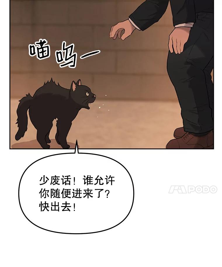 《彩虹桥守望者》18.猫瘟 第22页