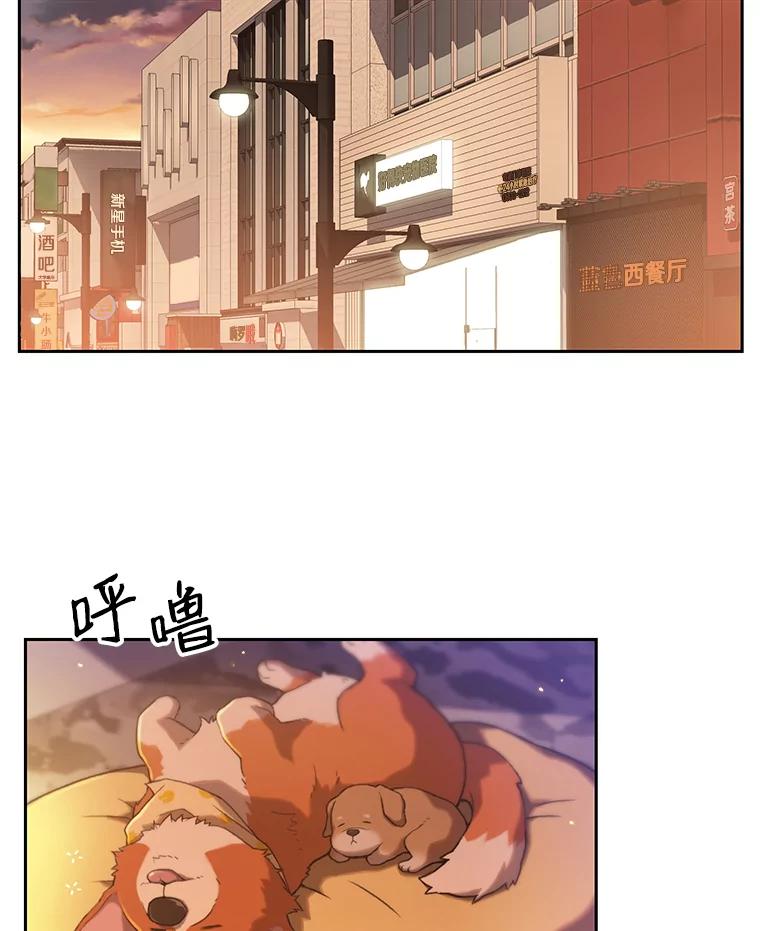 《彩虹桥守望者》18.猫瘟 第40页