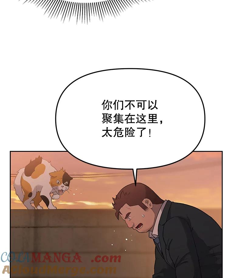 《彩虹桥守望者》18.猫瘟 第21页