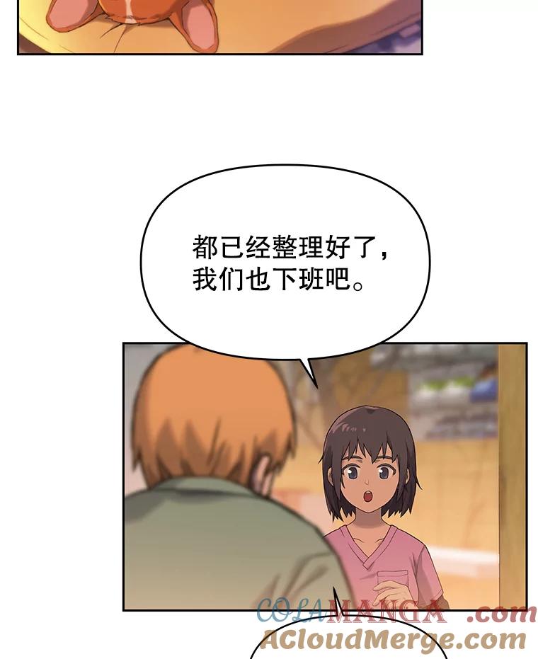 《彩虹桥守望者》18.猫瘟 第41页