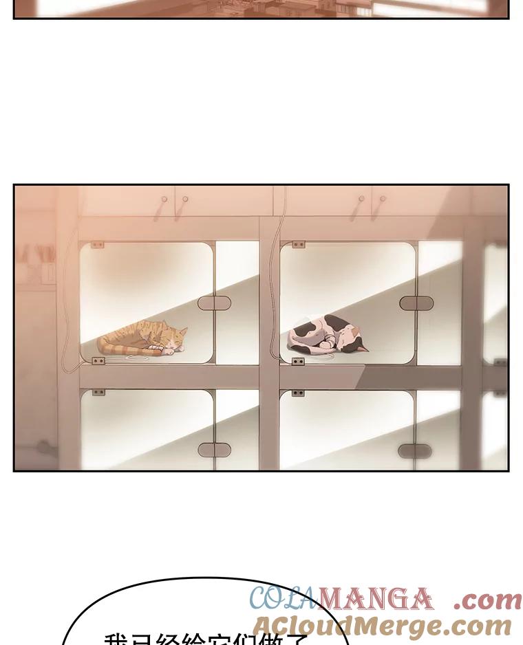 《彩虹桥守望者》18.猫瘟 第57页