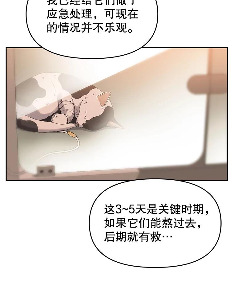 《彩虹桥守望者》18.猫瘟 第58页