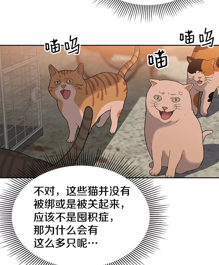 《彩虹桥守望者》18.猫瘟 第20页