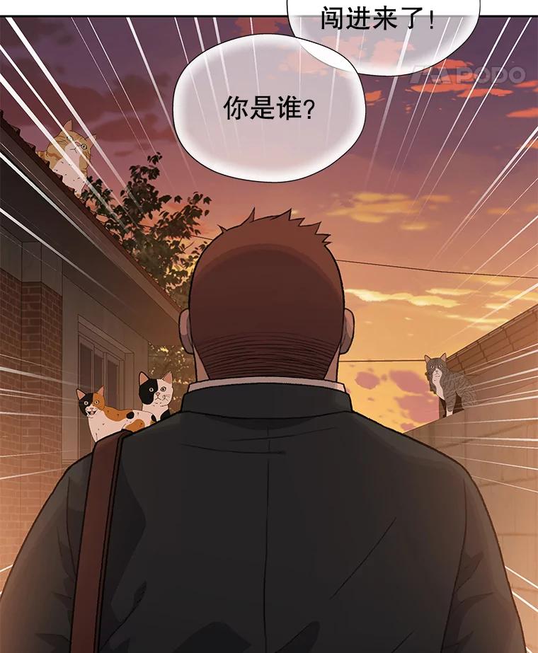 《彩虹桥守望者》18.猫瘟 第12页