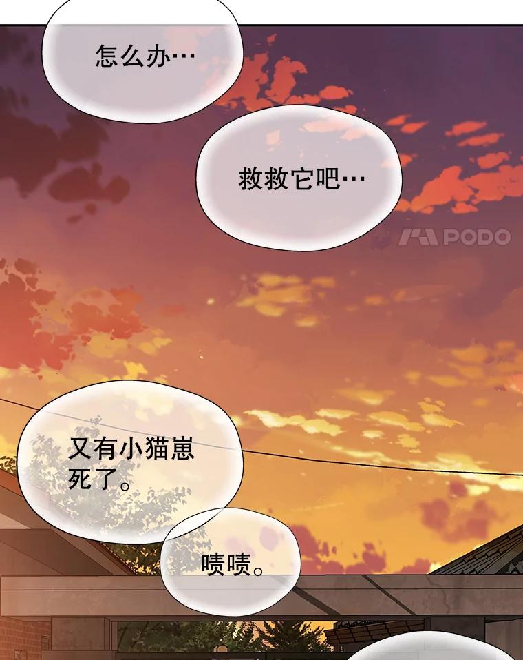 《彩虹桥守望者》18.猫瘟 第4页