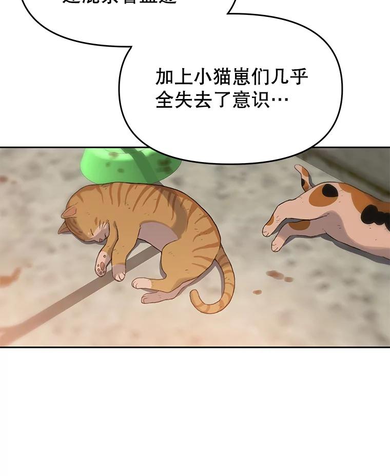 《彩虹桥守望者》18.猫瘟 第16页
