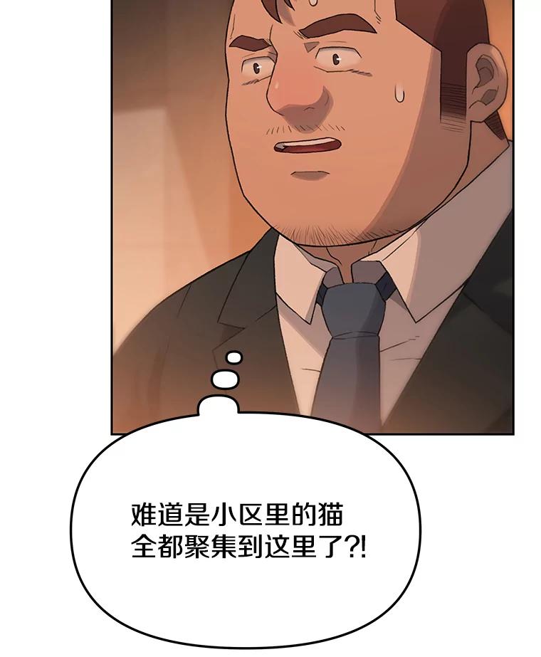 《彩虹桥守望者》18.猫瘟 第14页