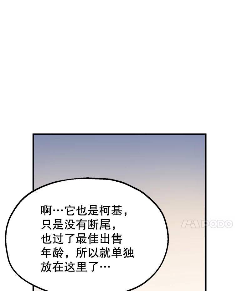 《彩虹桥守望者》1.您好，这里是好得快宠物医院 第14页