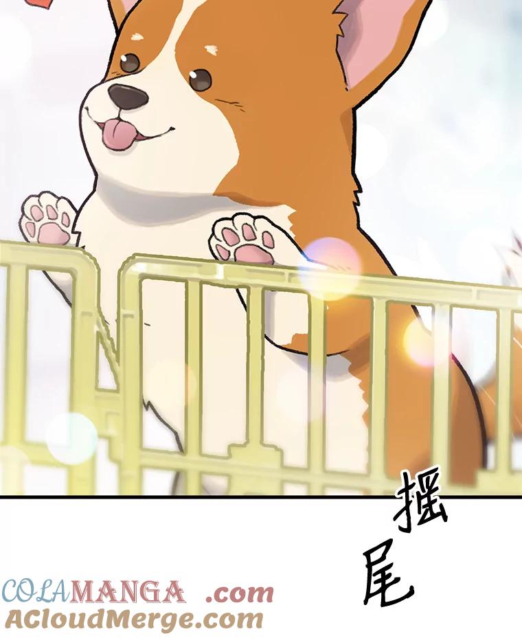 《彩虹桥守望者》1.您好，这里是好得快宠物医院 第17页
