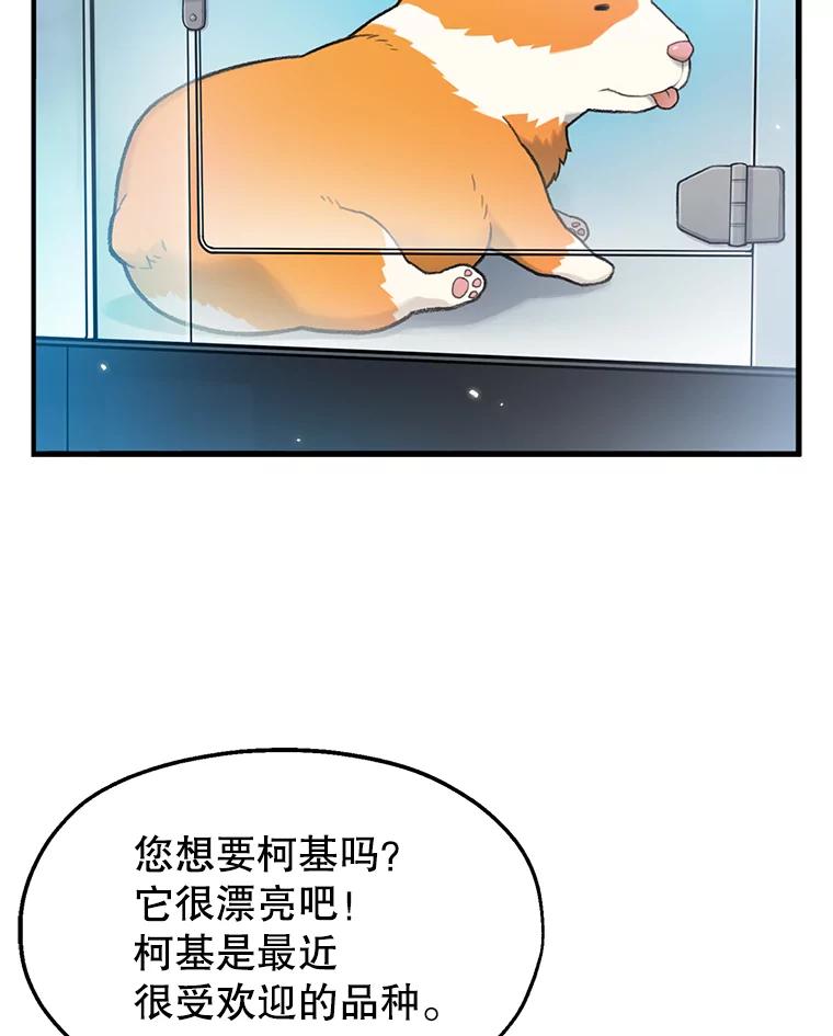 《彩虹桥守望者》1.您好，这里是好得快宠物医院 第8页