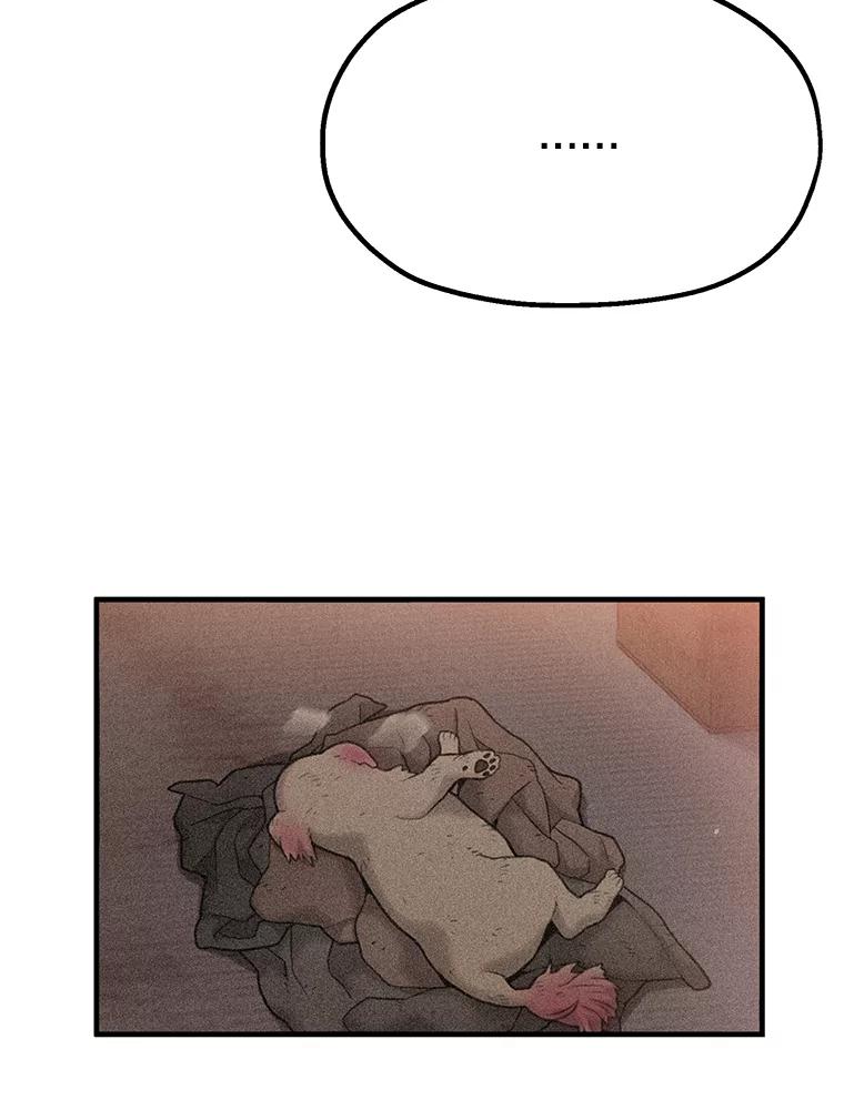 《彩虹桥守望者》1.您好，这里是好得快宠物医院 第159页