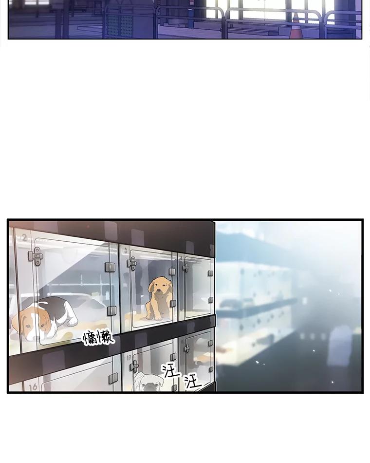 《彩虹桥守望者》1.您好，这里是好得快宠物医院 第2页