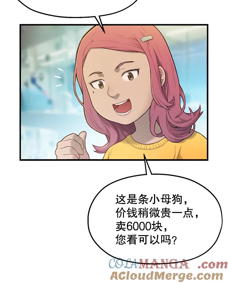 《彩虹桥守望者》1.您好，这里是好得快宠物医院 第9页