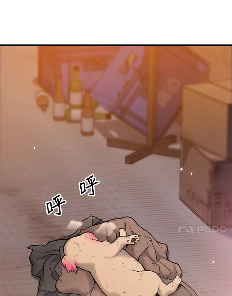 《彩虹桥守望者》1.您好，这里是好得快宠物医院 第124页