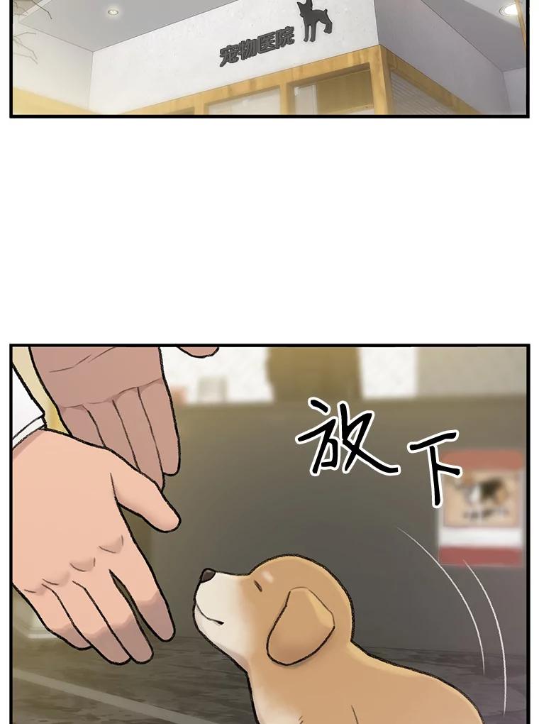 《彩虹桥守望者》1.您好，这里是好得快宠物医院 第48页