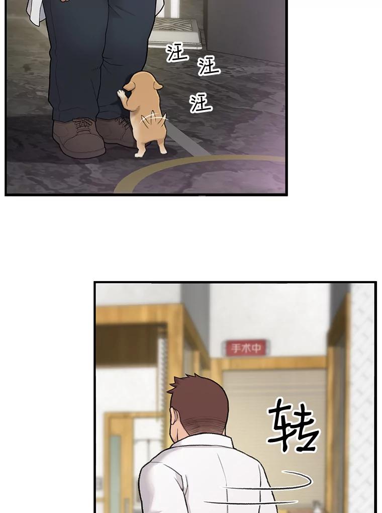 《彩虹桥守望者》1.您好，这里是好得快宠物医院 第52页
