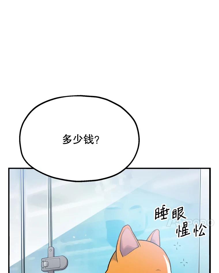 《彩虹桥守望者》1.您好，这里是好得快宠物医院 第7页