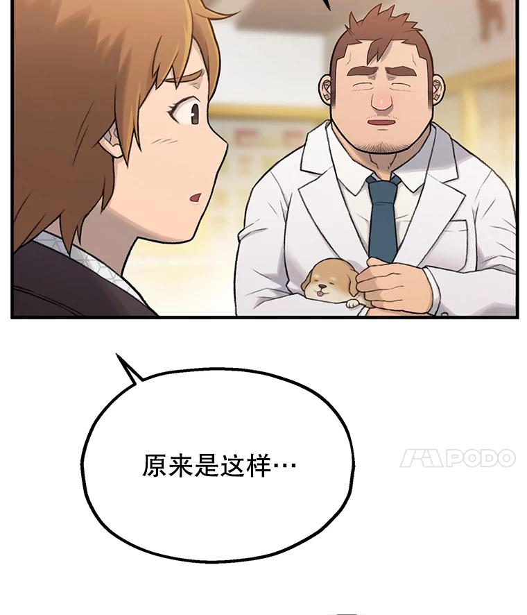 《彩虹桥守望者》1.您好，这里是好得快宠物医院 第36页
