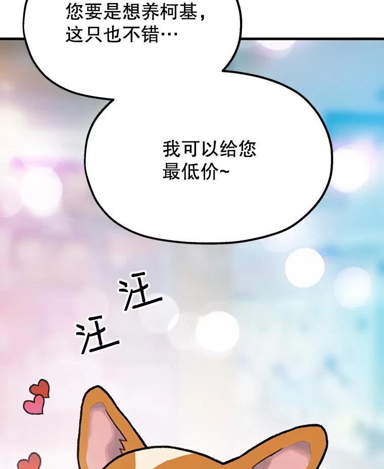 《彩虹桥守望者》1.您好，这里是好得快宠物医院 第16页