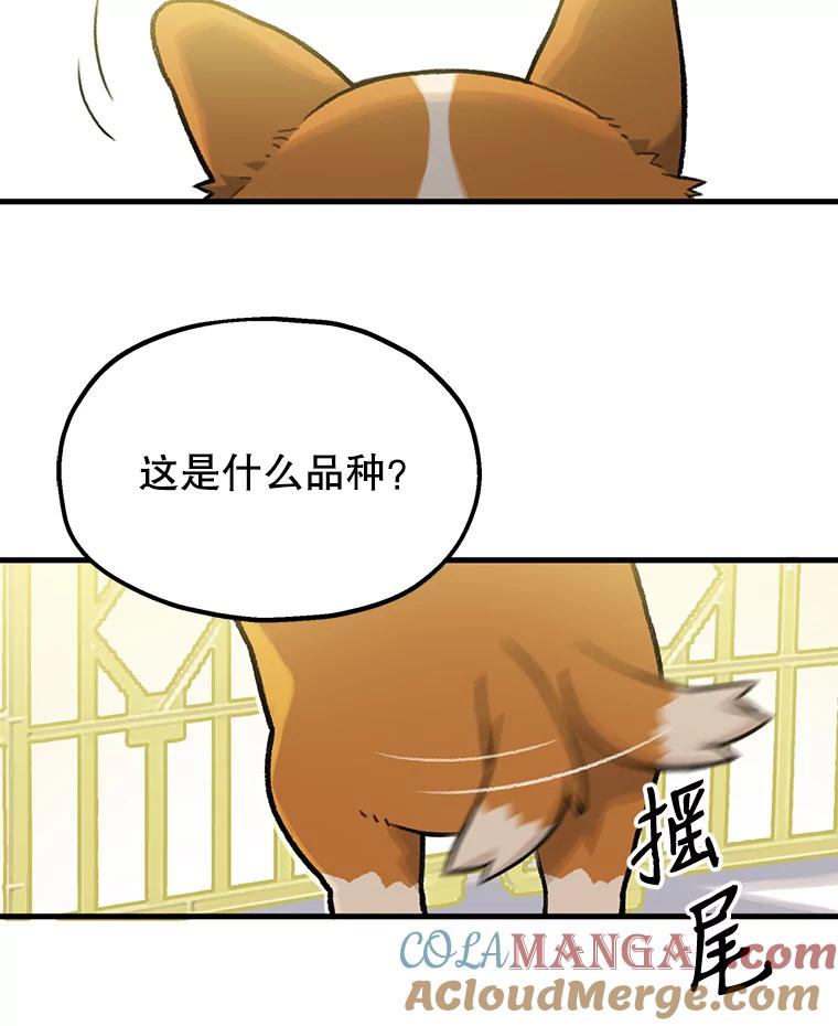 《彩虹桥守望者》1.您好，这里是好得快宠物医院 第13页