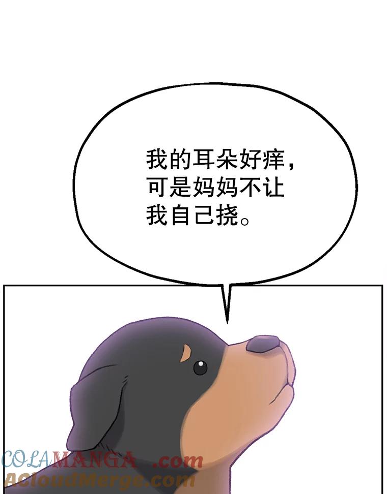 《彩虹桥守望者》2.听见你的声音 第49页