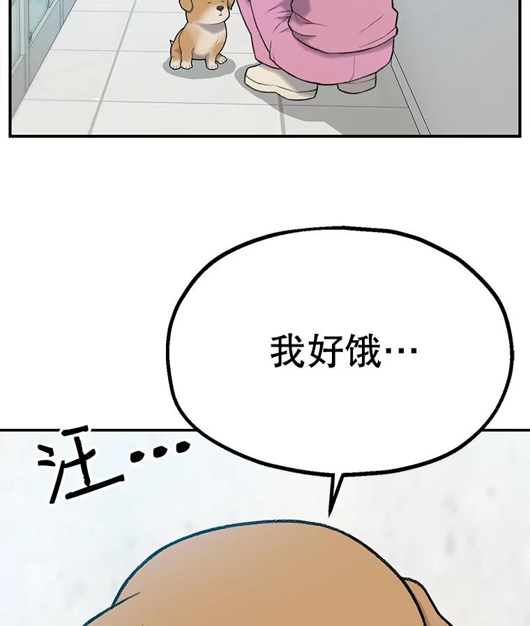 《彩虹桥守望者》2.听见你的声音 第35页