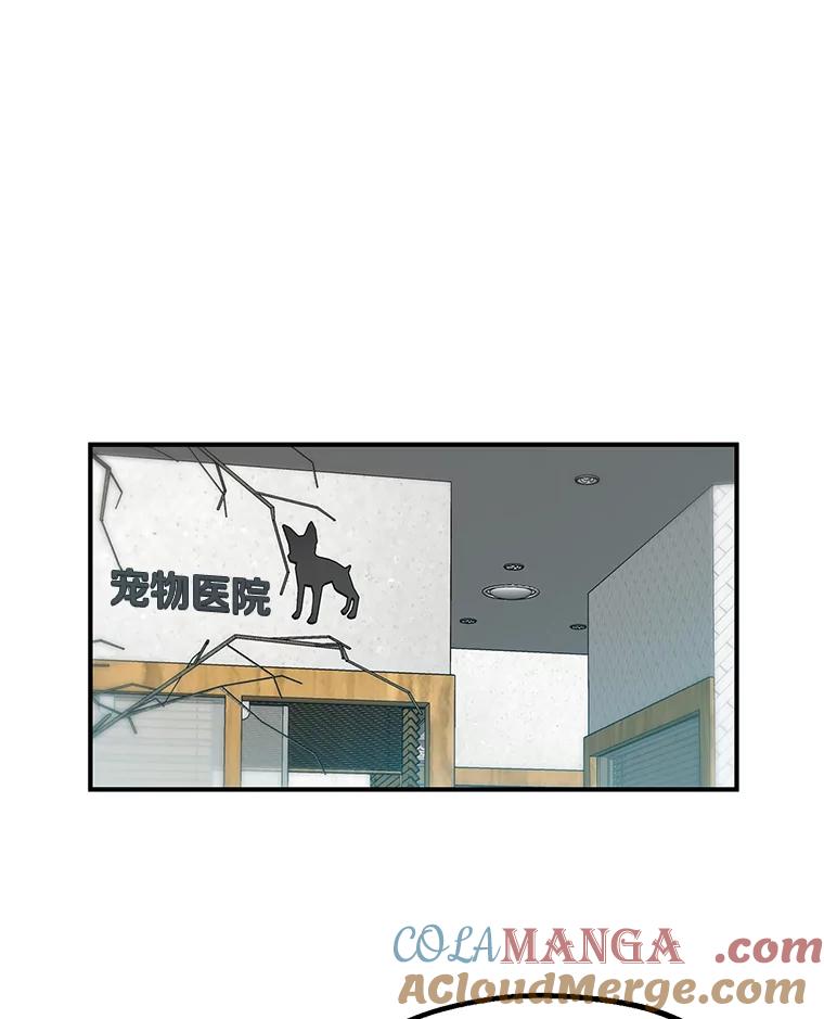 《彩虹桥守望者》3.出逃大作战 第21页