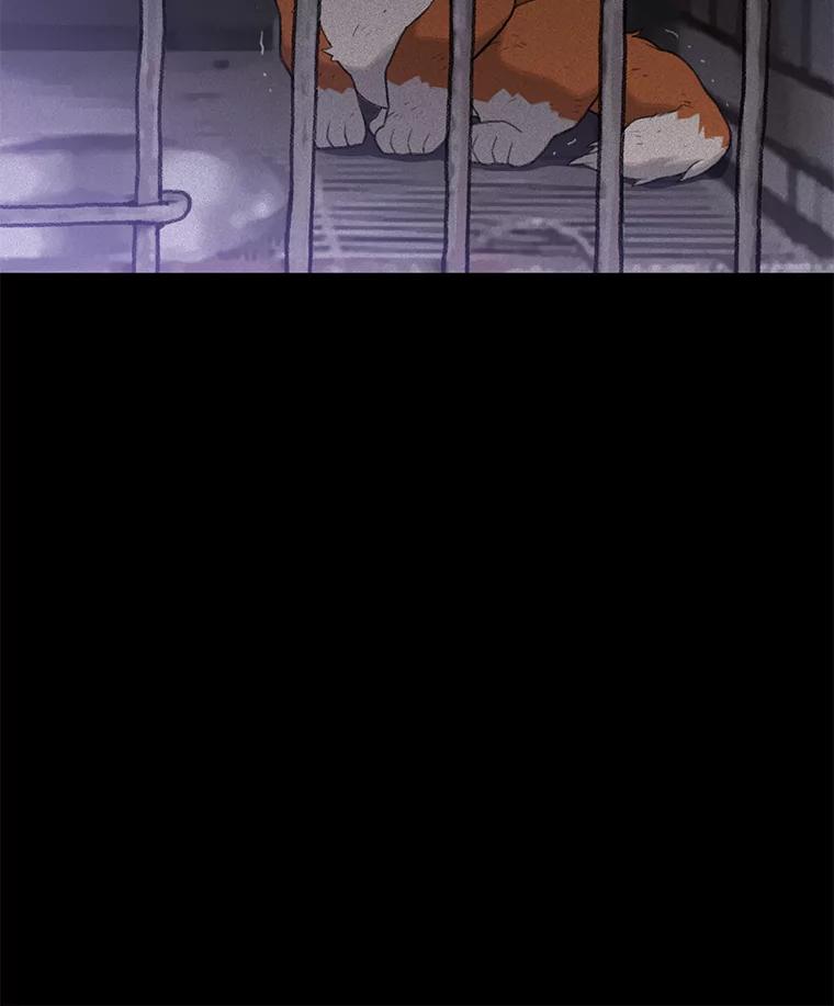 《彩虹桥守望者》3.出逃大作战 第138页
