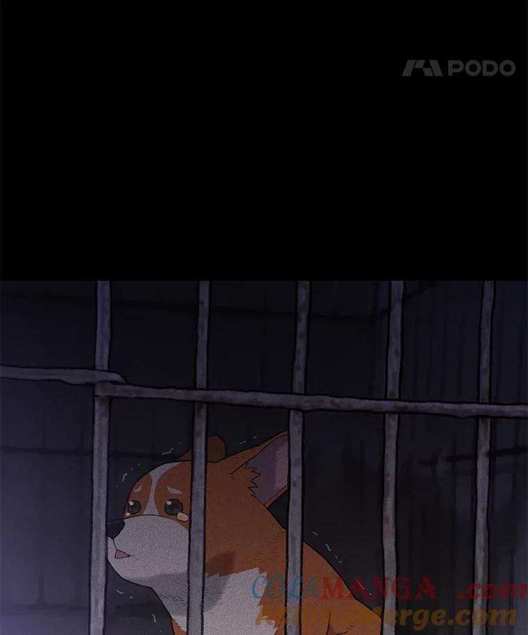 《彩虹桥守望者》3.出逃大作战 第137页