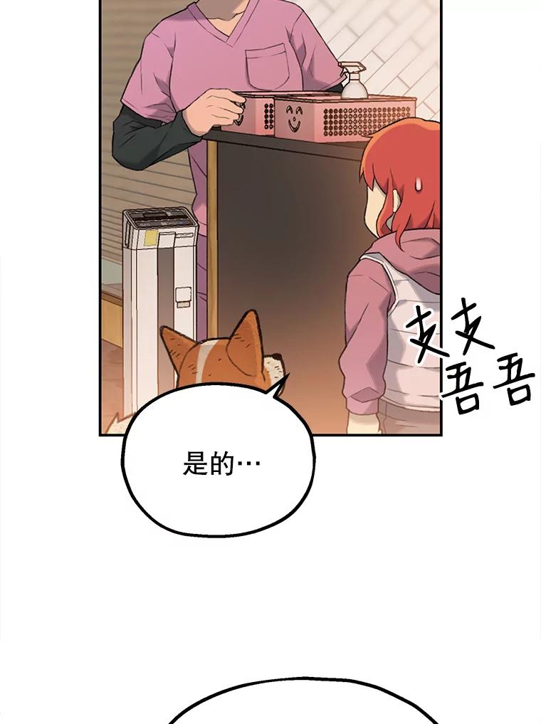 《彩虹桥守望者》3.出逃大作战 第78页