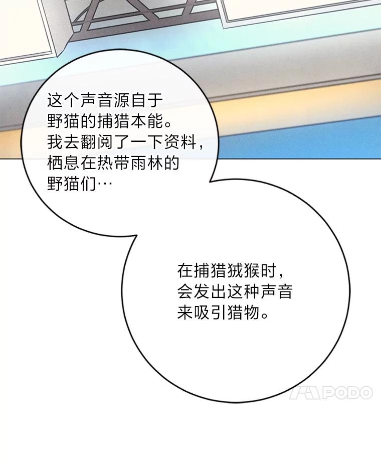 《幻像缉凶》41.公开调查 第102页