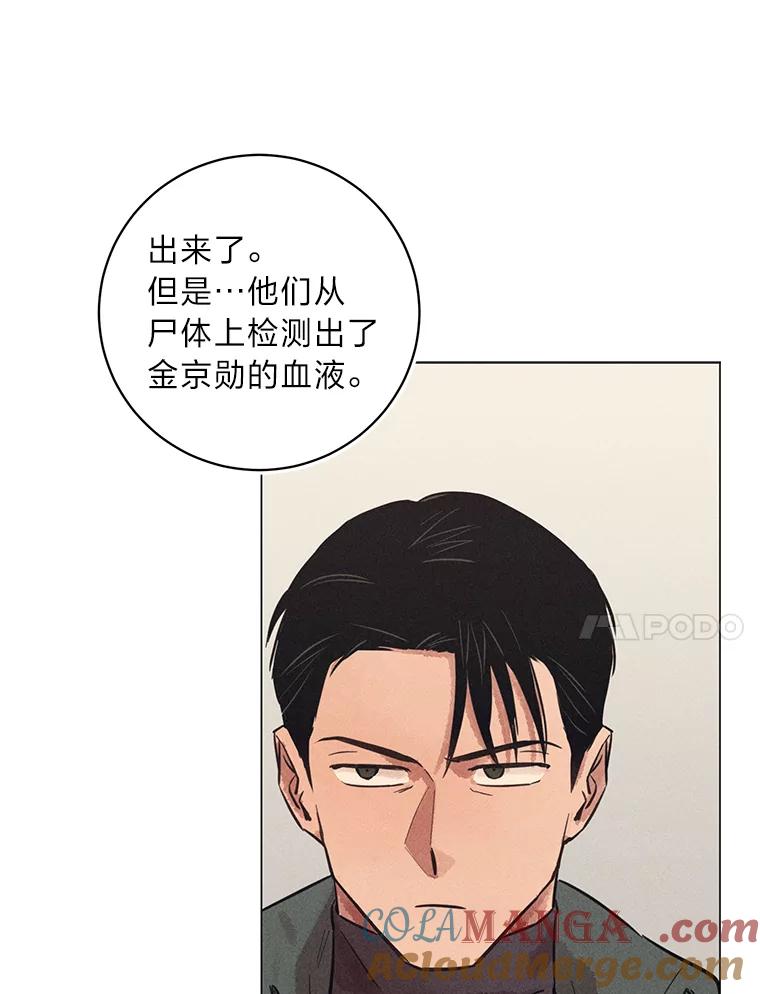 《幻像缉凶》41.公开调查 第85页