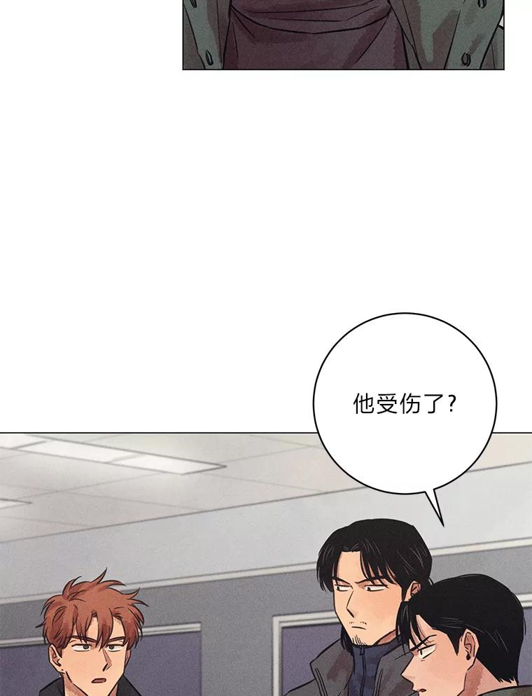 《幻像缉凶》41.公开调查 第86页