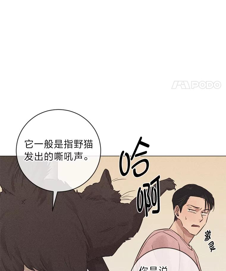 《幻像缉凶》41.公开调查 第99页
