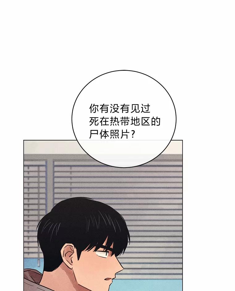 《幻像缉凶》47.排水沟案件 第71页