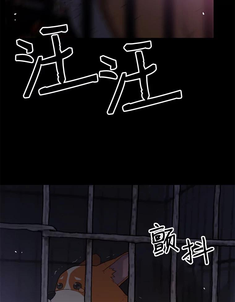 《彩虹桥守望者》4.解救梦梦 第54页