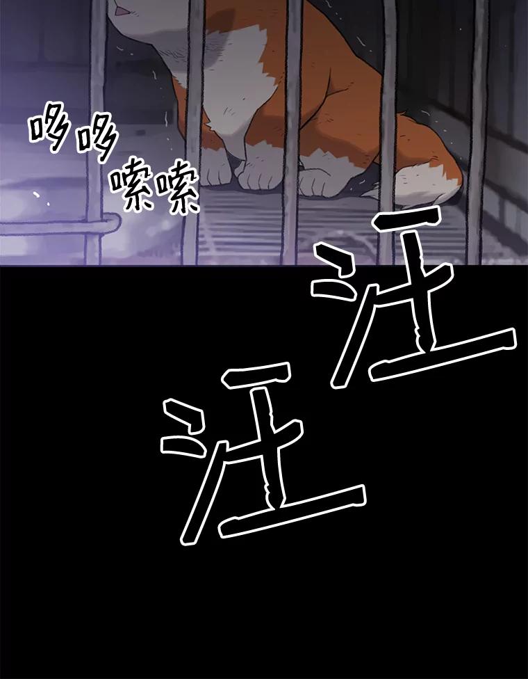 《彩虹桥守望者》4.解救梦梦 第55页