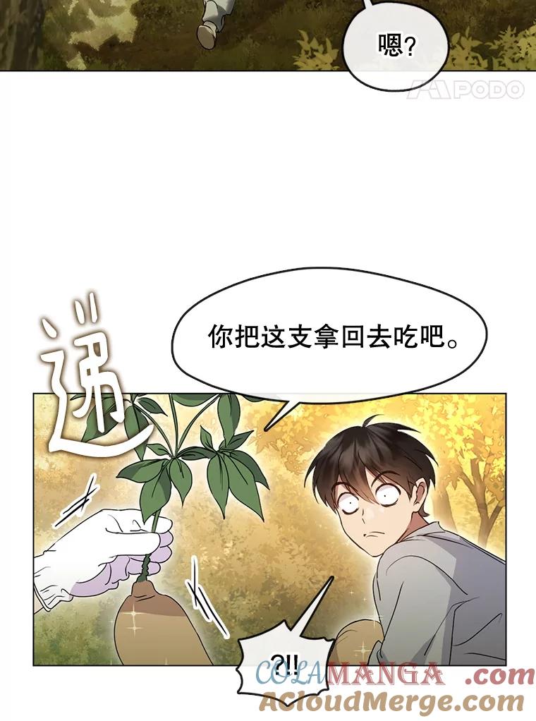 《黄泉餐厅》51.挖草药 第73页