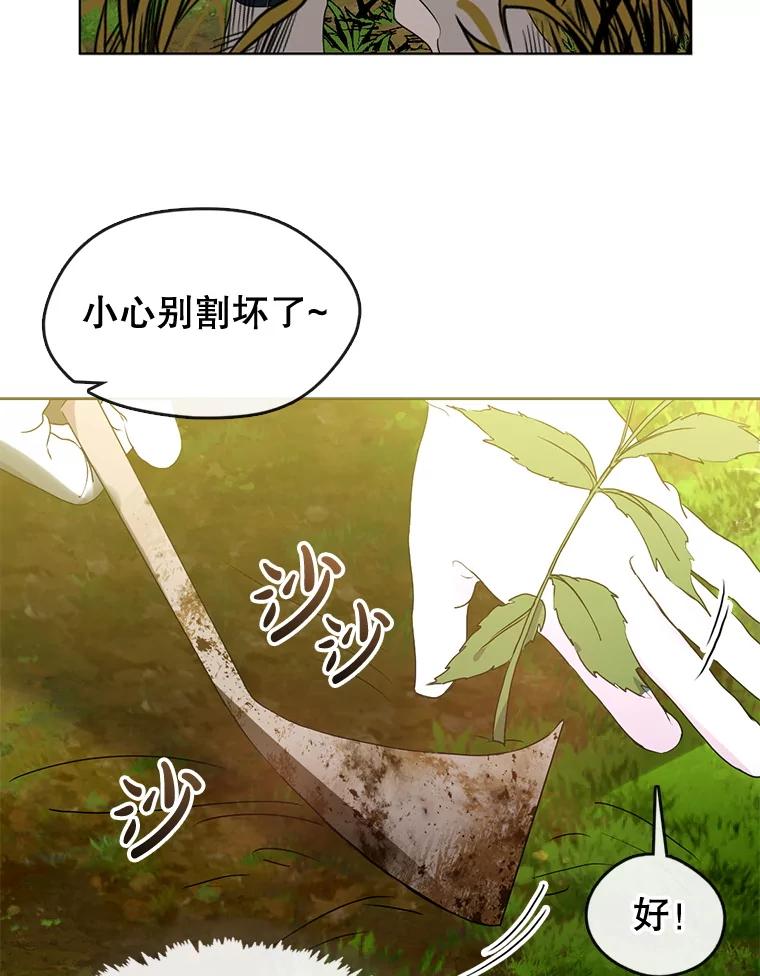 《黄泉餐厅》51.挖草药 第31页