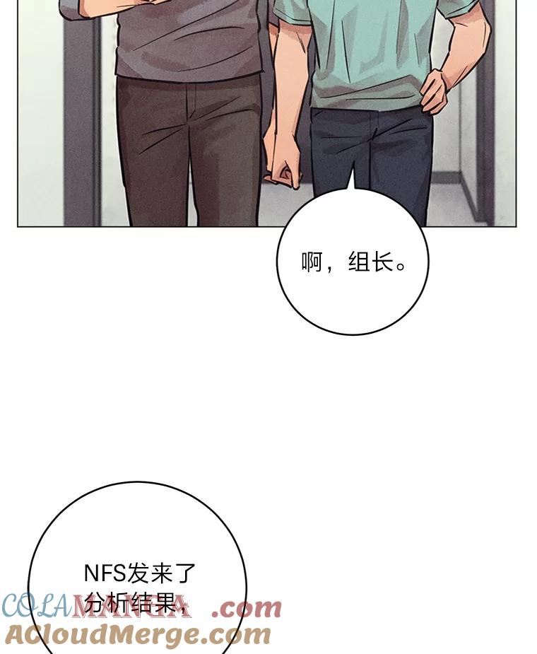 《幻像缉凶》57.不同寻常 第69页