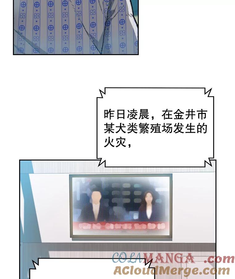 《彩虹桥守望者》6.成功获救 第25页