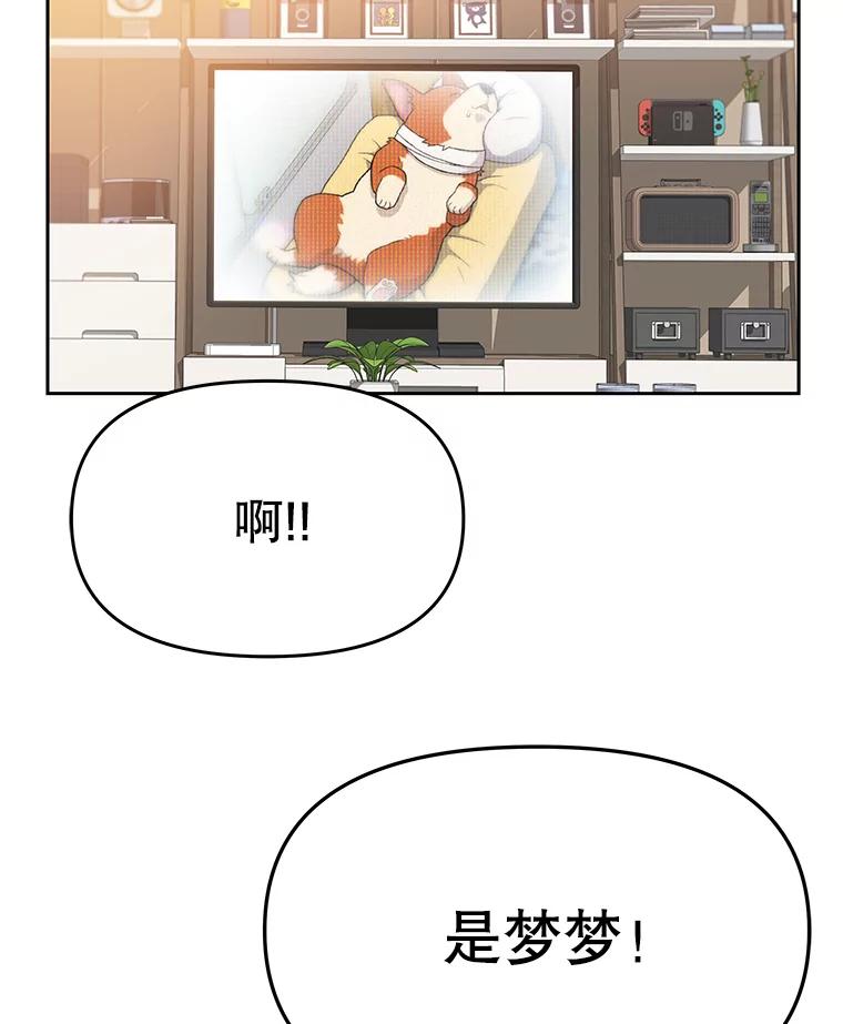 《彩虹桥守望者》6.成功获救 第55页