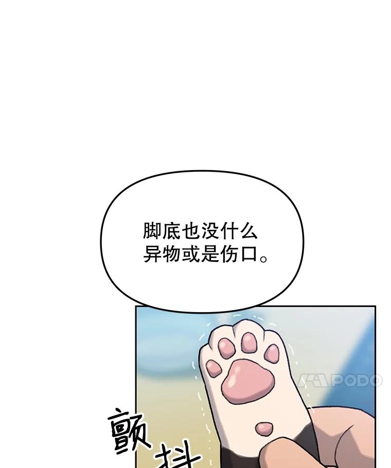 《彩虹桥守望者》7.道德？ 第22页