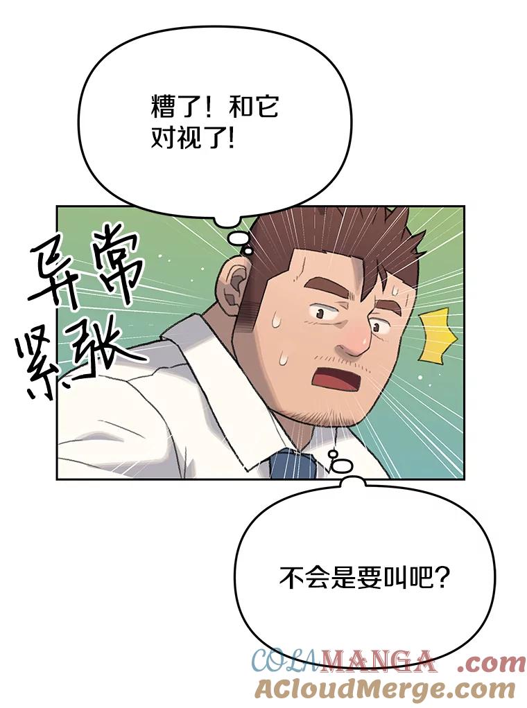 《彩虹桥守望者》8.无法说出口的话 第81页
