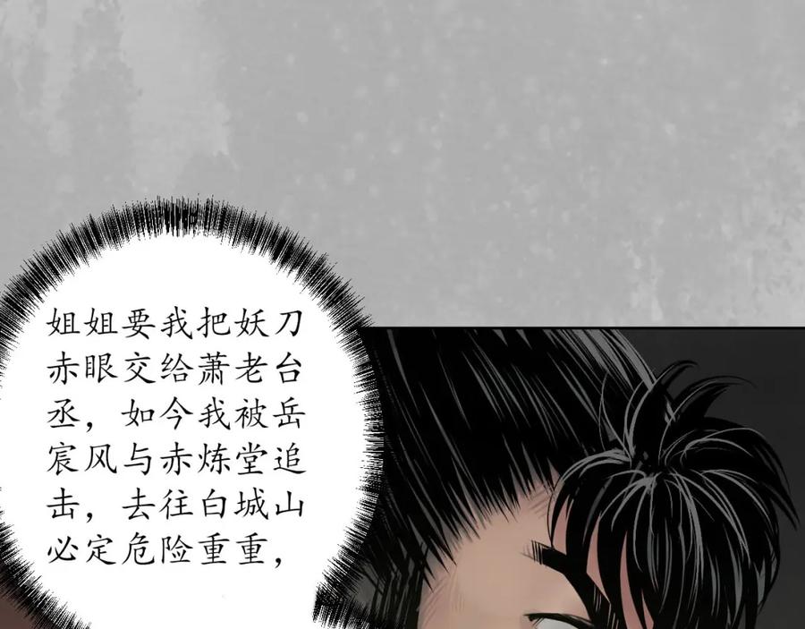 藏锋行 第96回 栖凤之所 第67页