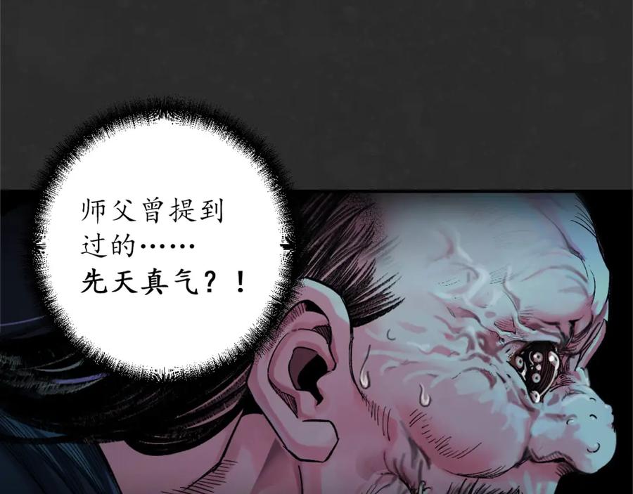 藏锋行 两个气室 第31页