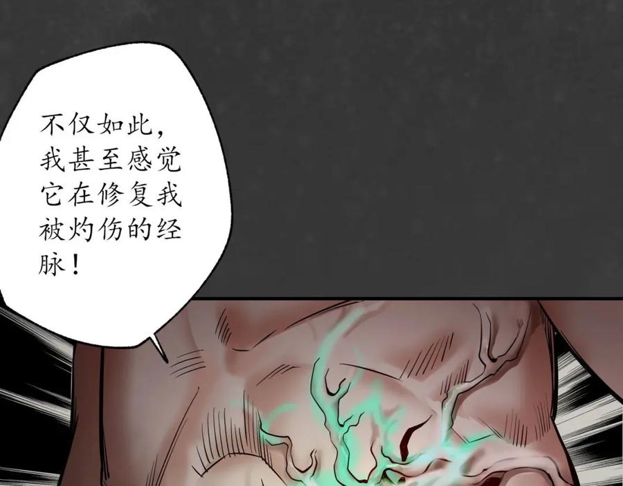 藏锋行 化骊之源 第96页