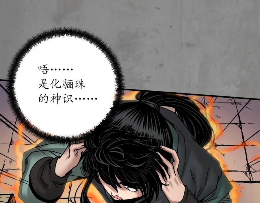 藏锋行 化骊之识 第44页