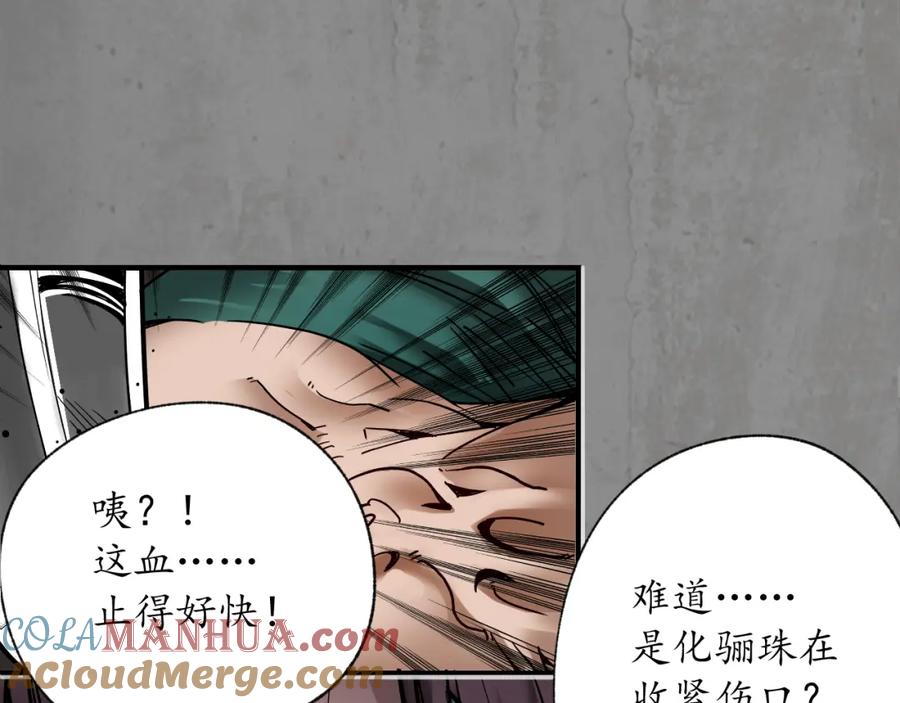 藏锋行 化骊之识 第13页